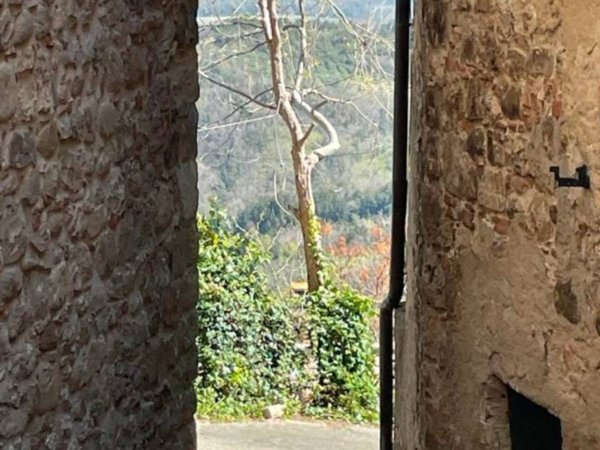 negozio in vendita a Civitella Paganico