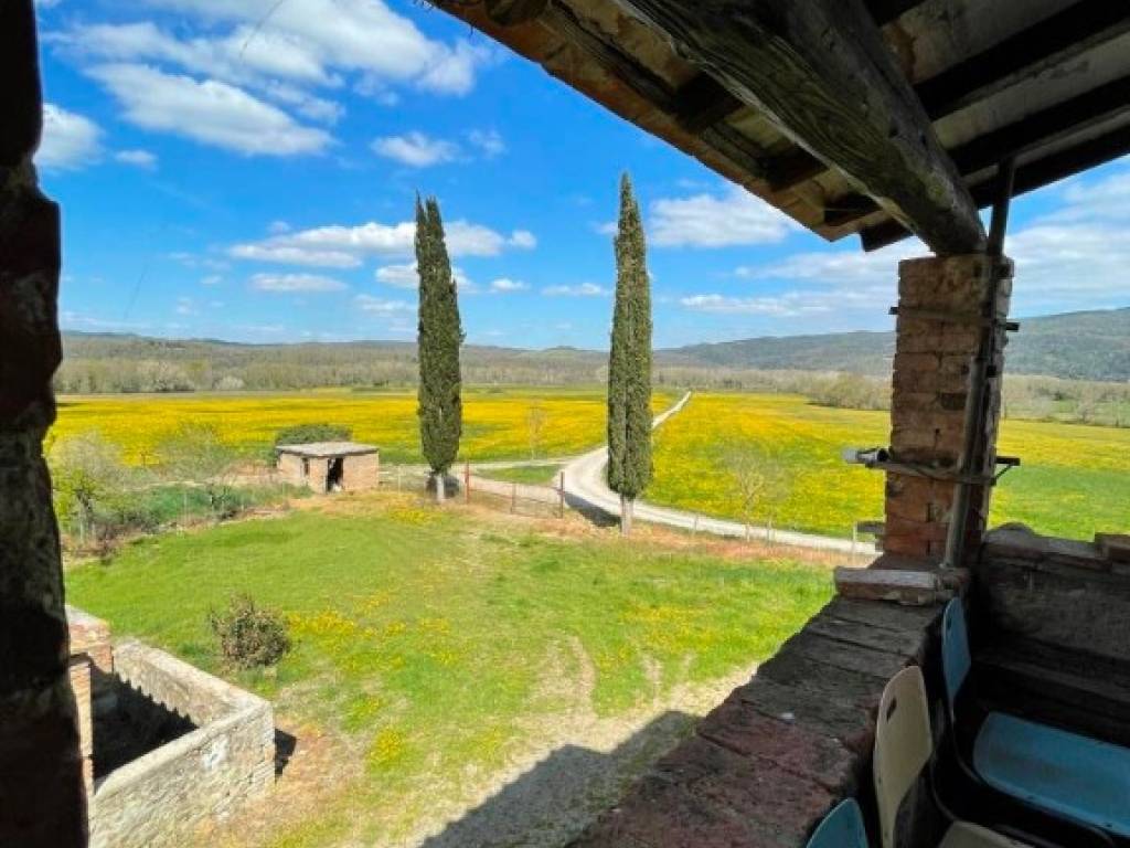 negozio in vendita a Civitella Paganico