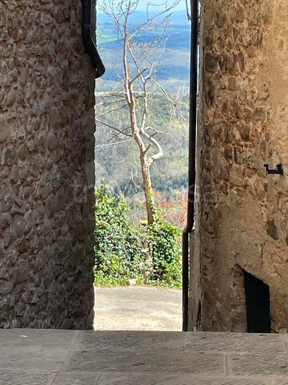 ufficio in vendita a Civitella Paganico