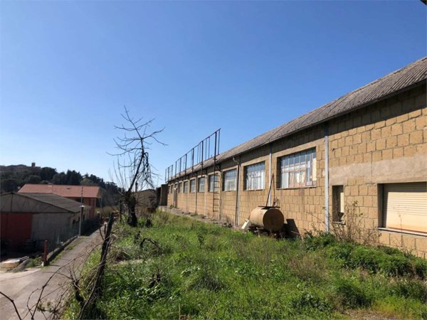 locale di sgombero in vendita a Civitella Paganico in zona Civitella Marittima