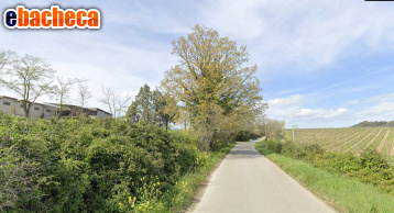 azienda agricola in vendita a Civitella Paganico