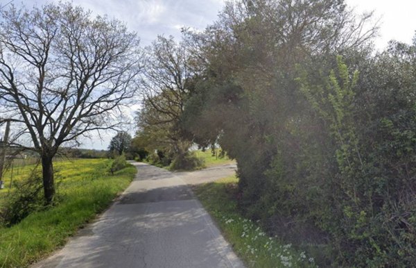 azienda agricola in vendita a Civitella Paganico