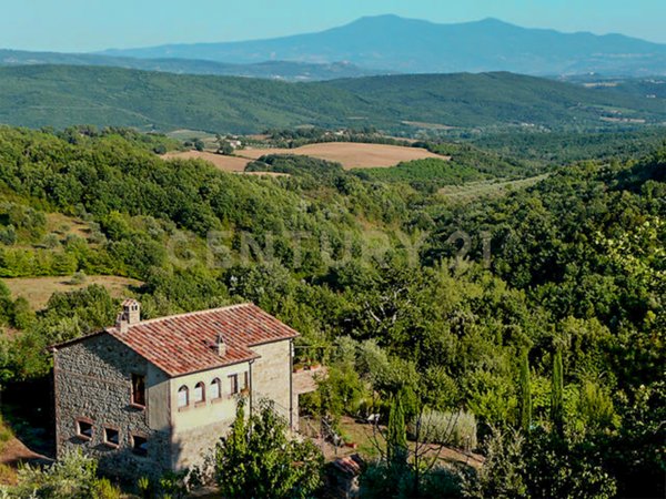 casa indipendente in vendita a Civitella Paganico in zona Pari