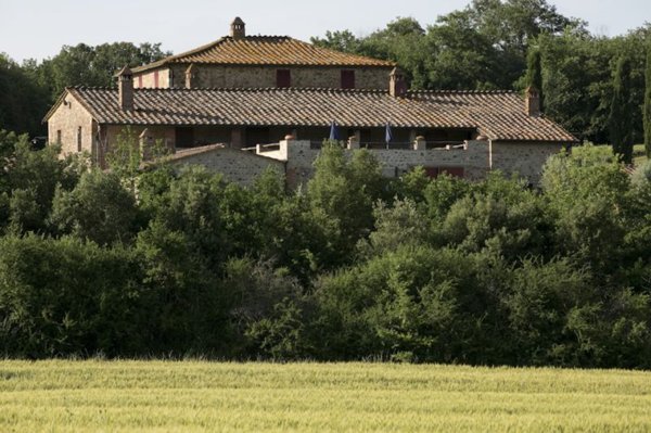 azienda agricola in vendita a Civitella Paganico in zona Pari