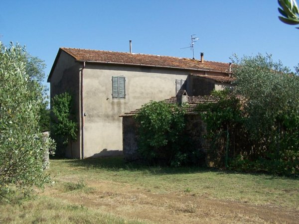azienda agricola in vendita a Civitella Paganico in zona Paganico
