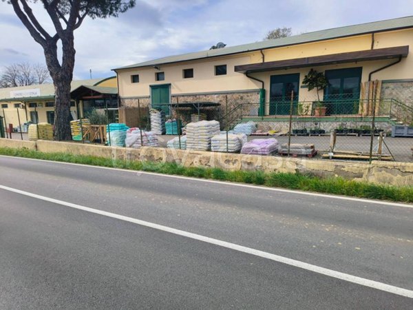 terreno edificabile in vendita a Civitella Paganico