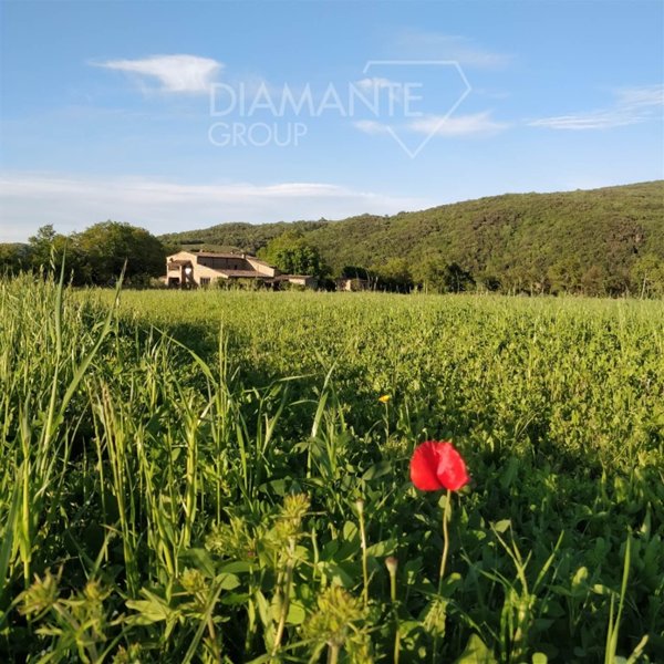 terreno agricolo in vendita a Civitella Paganico