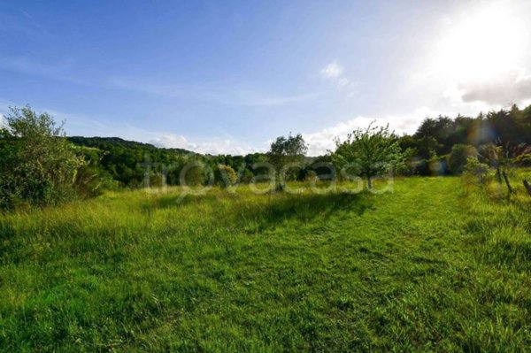locale di sgombero in vendita a Civitella Paganico