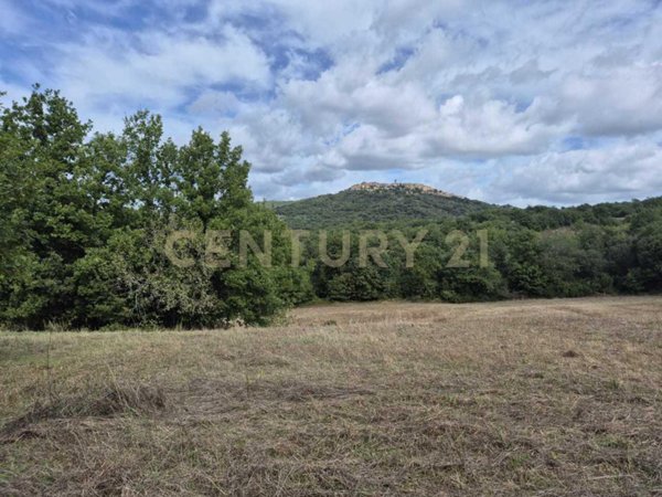 terreno agricolo in vendita a Civitella Paganico in zona Civitella Marittima