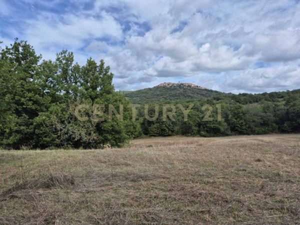 terreno agricolo in vendita a Civitella Paganico in zona Civitella Marittima