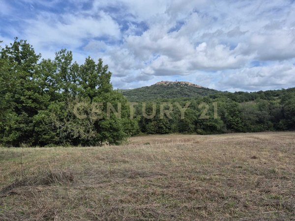 terreno agricolo in vendita a Civitella Paganico in zona Civitella Marittima