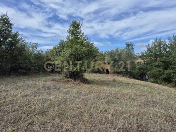 terreno agricolo in vendita a Civitella Paganico in zona Civitella Marittima