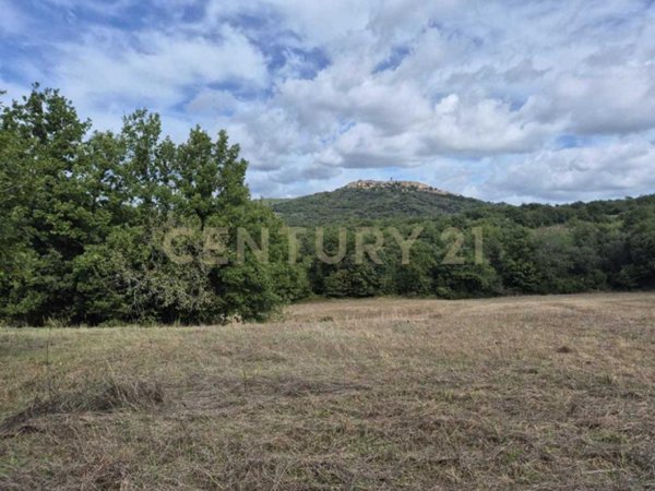 terreno agricolo in vendita a Civitella Paganico in zona Civitella Marittima