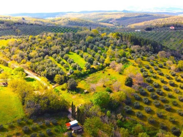 terreno agricolo in vendita a Civitella Paganico in zona Paganico