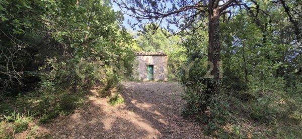 casa indipendente in vendita a Civitella Paganico in zona Pari