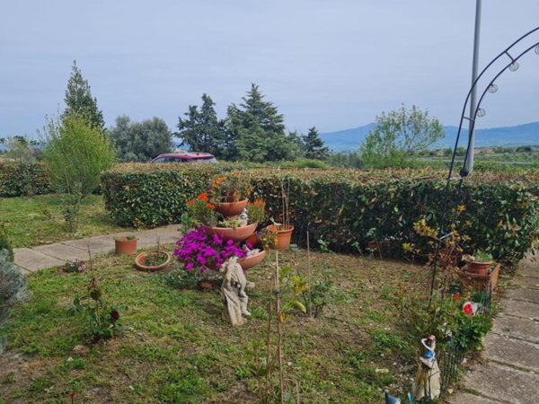 appartamento in vendita a Civitella Paganico in zona Civitella Marittima