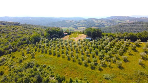 terreno agricolo in vendita a Civitella Paganico in zona Paganico