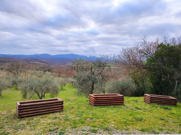 terreno agricolo in vendita a Civitella Paganico