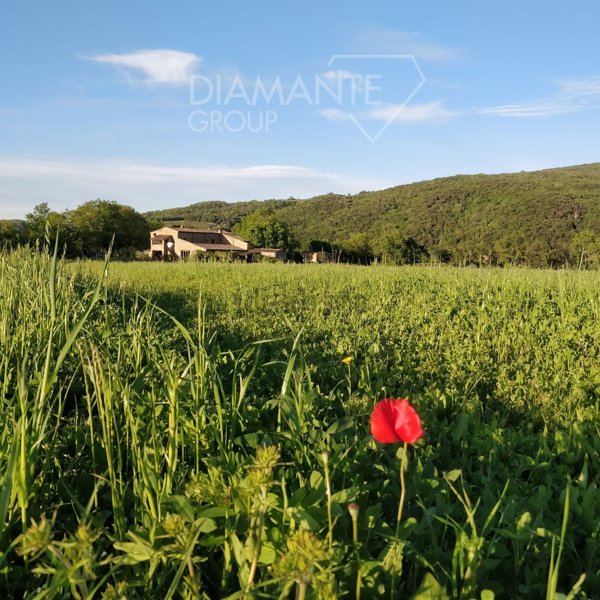 terreno agricolo in vendita a Civitella Paganico