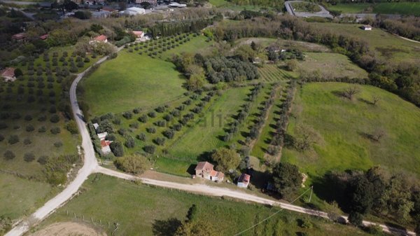 terreno agricolo in vendita a Civitella Paganico in zona Paganico