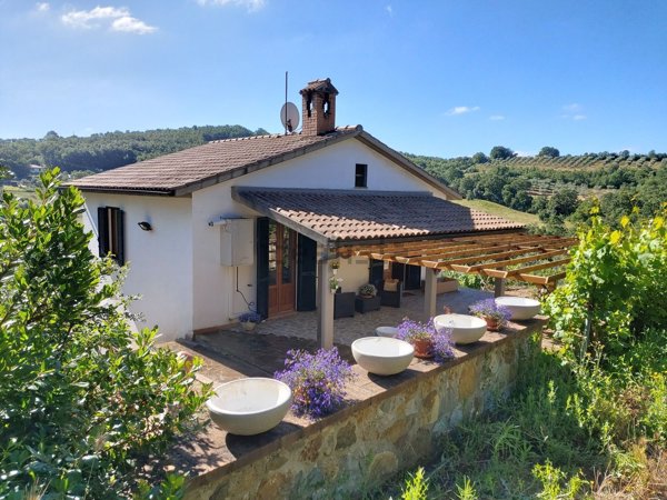 appartamento in vendita a Civitella Paganico in zona Paganico