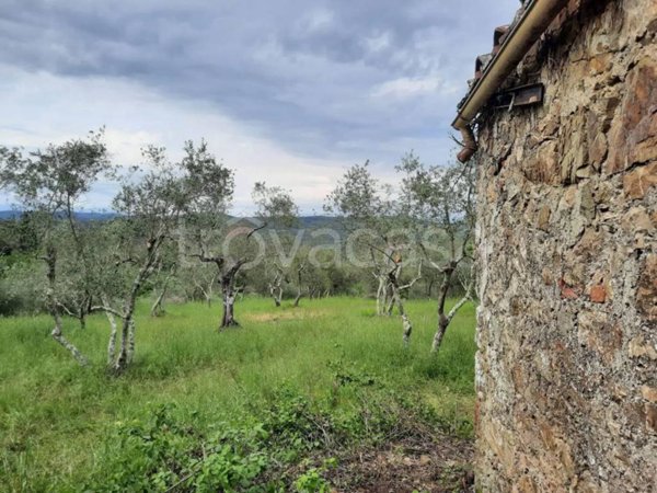 terreno agricolo in vendita a Civitella Paganico in zona Civitella Marittima