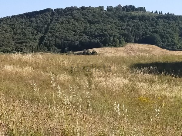 appartamento in vendita a Civitella Paganico