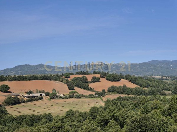 terreno agricolo in vendita a Civitella Paganico in zona Civitella Marittima