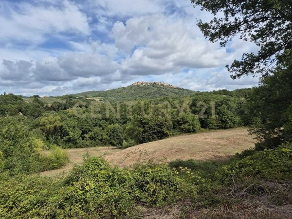 terreno agricolo in vendita a Civitella Paganico in zona Civitella Marittima