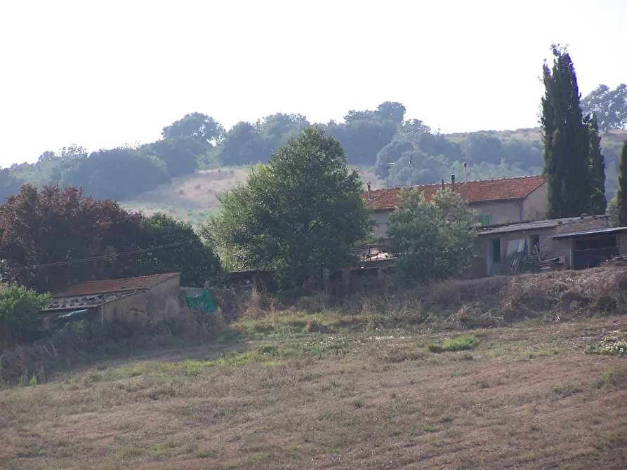 azienda agricola in vendita a Civitella Paganico