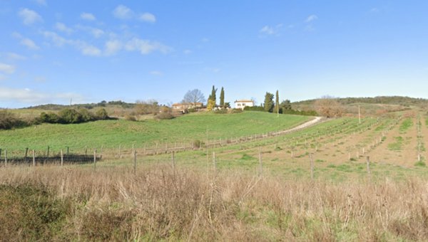 azienda agricola in vendita a Civitella Paganico