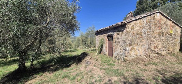 casa indipendente in vendita a Civitella Paganico in zona Pari