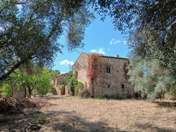 casale in vendita a Civitella Paganico