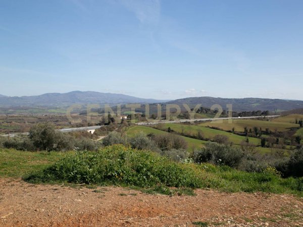 terreno agricolo in vendita a Civitella Paganico