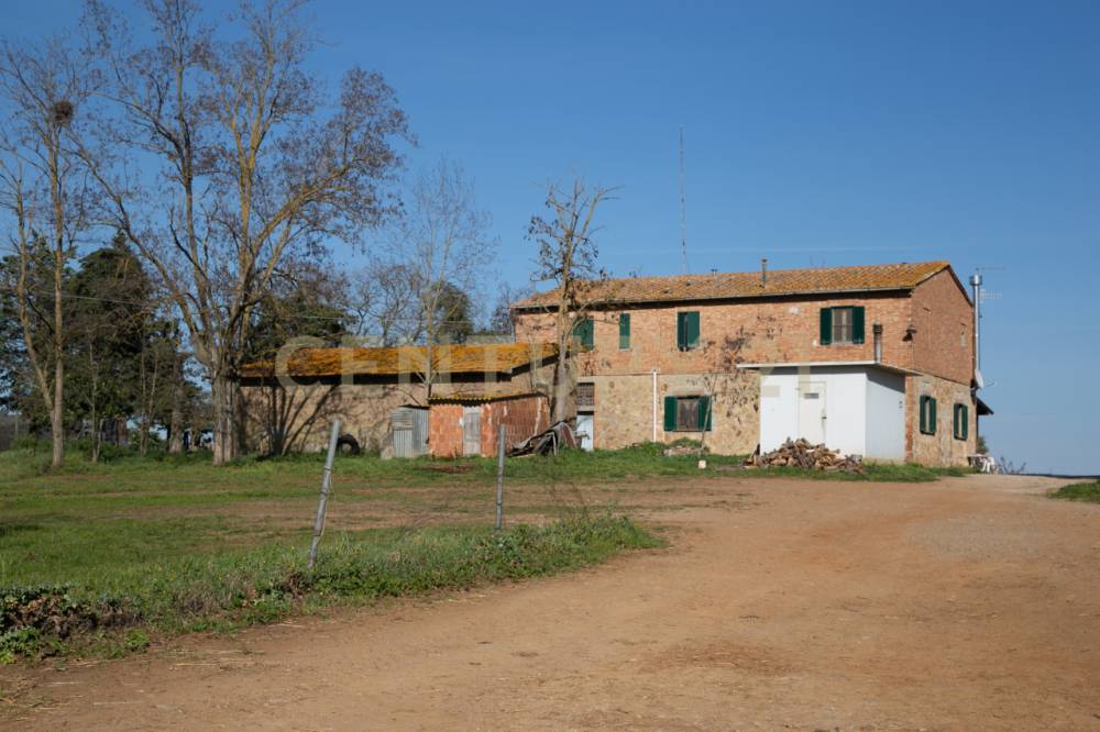 terreno agricolo in vendita a Civitella Paganico in zona Petriolo
