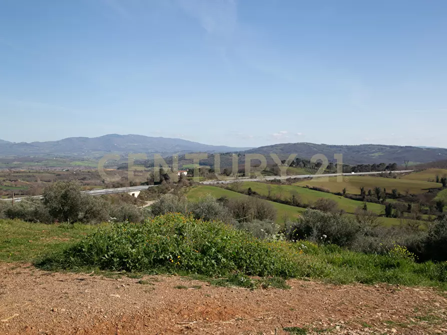 terreno agricolo in vendita a Civitella Paganico