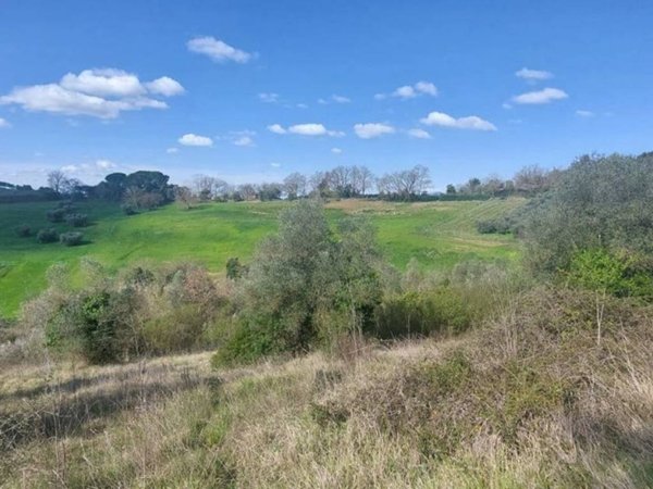terreno agricolo in vendita a Civitella Paganico
