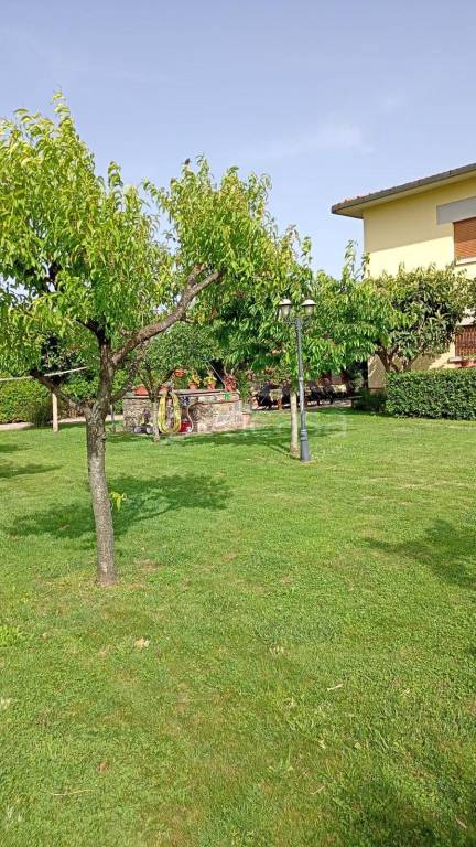 casa indipendente in vendita a Civitella Paganico in zona Paganico