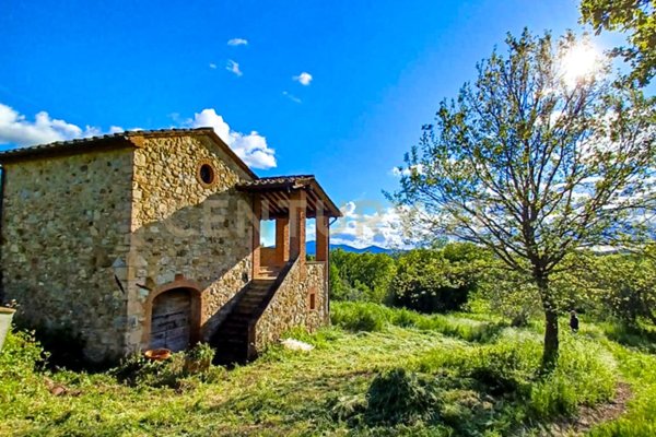 appartamento in vendita a Civitella Paganico