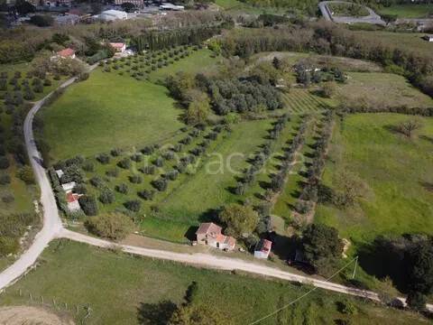 terreno agricolo in vendita a Civitella Paganico in zona Paganico