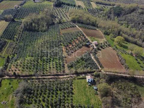 terreno agricolo in vendita a Civitella Paganico in zona Paganico