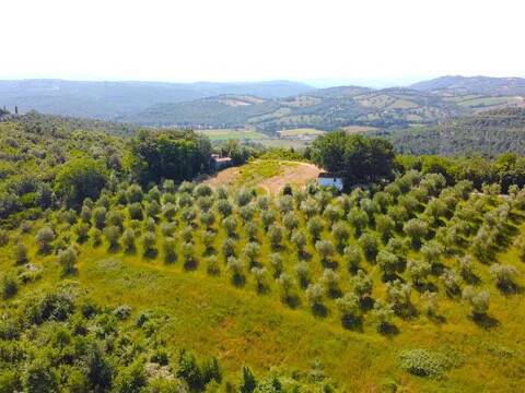 terreno agricolo in vendita a Civitella Paganico in zona Civitella Marittima