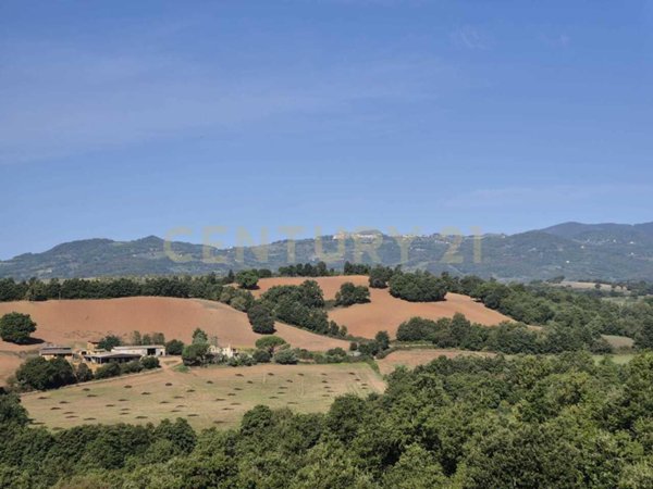 appartamento in vendita a Civitella Paganico