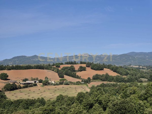 terreno agricolo in vendita a Civitella Paganico