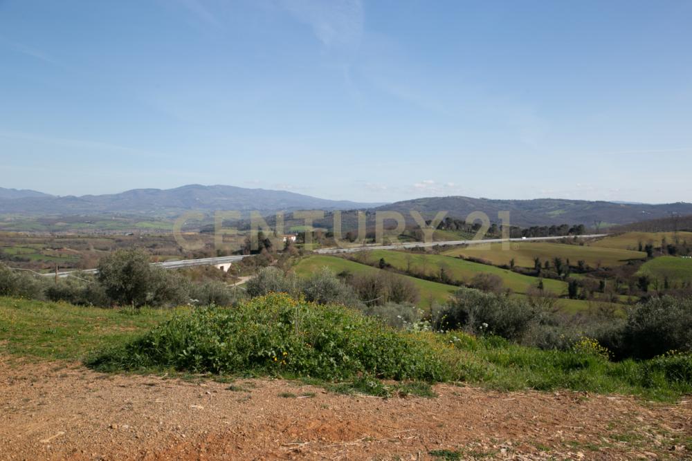 terreno agricolo in vendita a Civitella Paganico