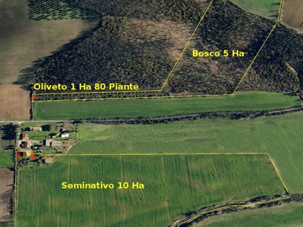 azienda agricola in vendita a Civitella Paganico