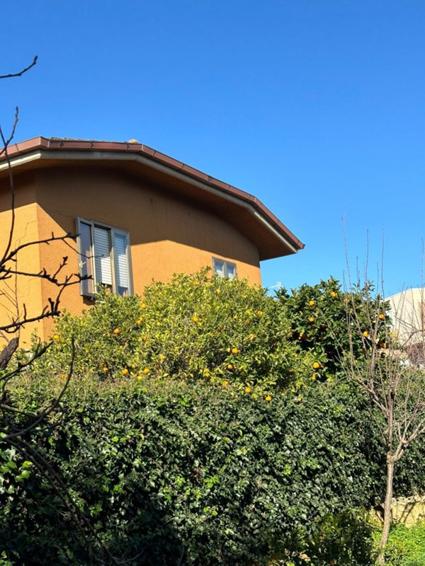 casa indipendente in vendita a Follonica