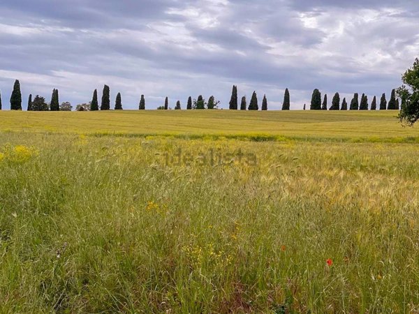 appartamento in vendita a Follonica