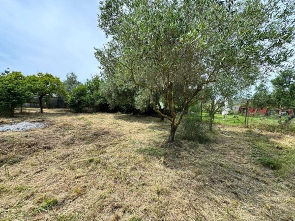 terreno agricolo in vendita a Follonica