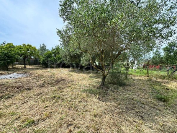 terreno agricolo in vendita a Follonica
